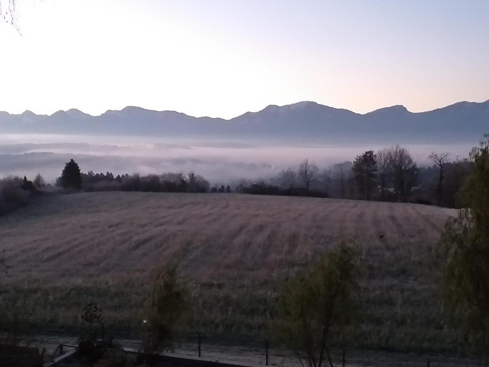 Апартаменты Schwalbennest Velden Фельден-ам-Вёртер-Зе Экстерьер фото